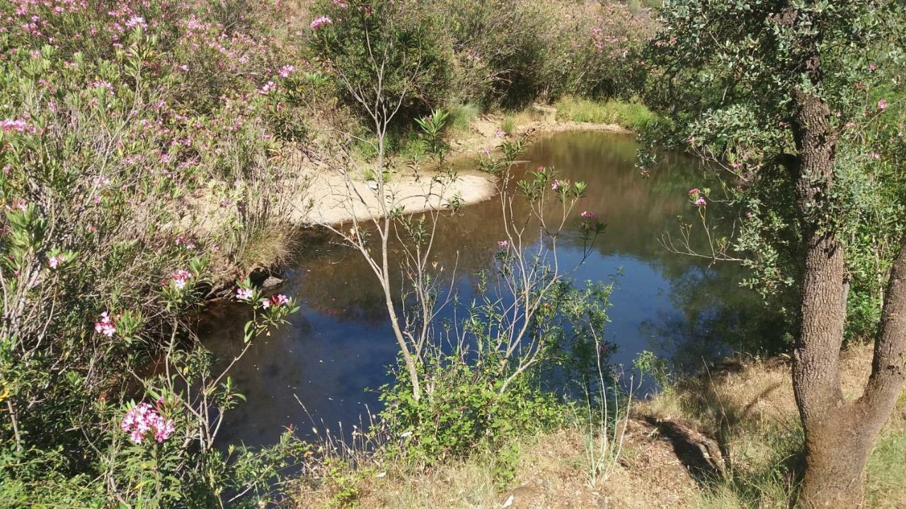 Agroturismo Flores Do Campo Villa Vila Verde de Ficalho Kültér fotó